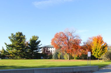 Ev ağaçların ortasında dikiliyordu. Çerçevenin önündeki yeşil çimen tarlası. Paved yolu ve mavi gökyüzü. Ottawa caddesinde, Kanada Güz 2012