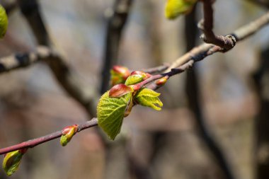 Gün batımı günün en güzel zamanıdır.