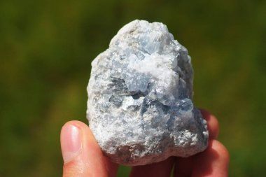 Celestine or Celestite crystal from Madagascar held in a hand clipart