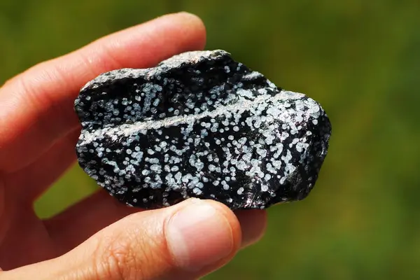 Obsidian volcanic rock from United States held in a hand