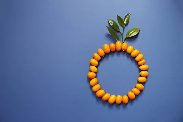 Kumquat ve mavi arkaplan için daire oluşturuldu. Üst Manzara. Çince çin portakal rengi, yaz meyvelerinden soyutlanmış..