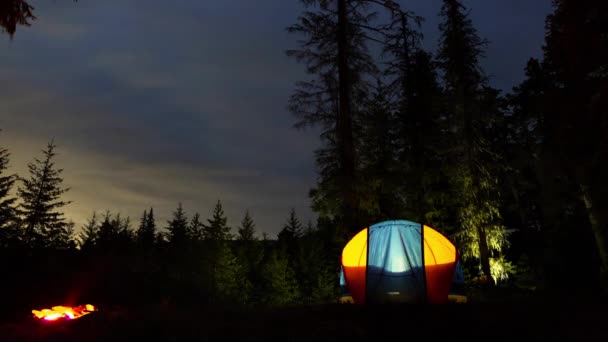 Tent Camping Wilderness Night — Stock Video