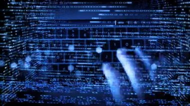 İnternetteki siber güvenlik korsanı