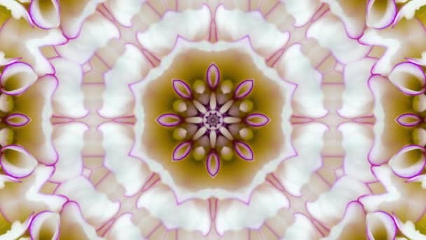 Blanco Mandala Floral Caleidoscopio Patrón Fondo — Vídeos de Stock