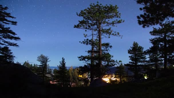 Nacht Hemel Maan Schaduwen Het Dennenbos Van Sierra Nevada Bergen — Stockvideo