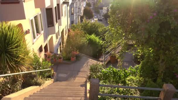 Kebun Umum Hijau Kota San Francisco Bukit Telegraph — Stok Video