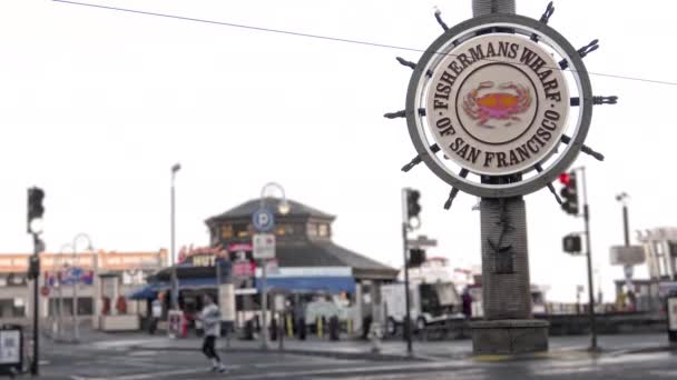 Vida Matutina Famoso Muelle Pescadores San Francisco — Vídeos de Stock