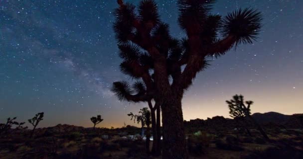 Joshua Boom Nationaal Park Woestijn Landschap Melkweg Nachts — Stockvideo