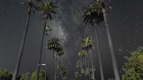 Mléčná Dráha Přes Palmový Bulvár Jižní Kalifornii — Stock video