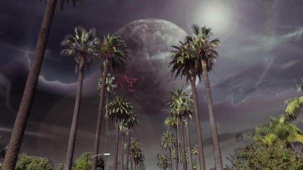 Velký Rotující Měsíc Palmovém Bulváru Jižní Kalifornii — Stock video