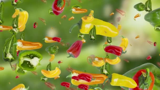 Kleurrijke Paprika Drijvende Animatie Achtergrond — Stockvideo