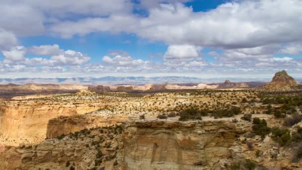 Suchy Krajobraz Siatki Canyonland High Mesa Utah — Wideo stockowe