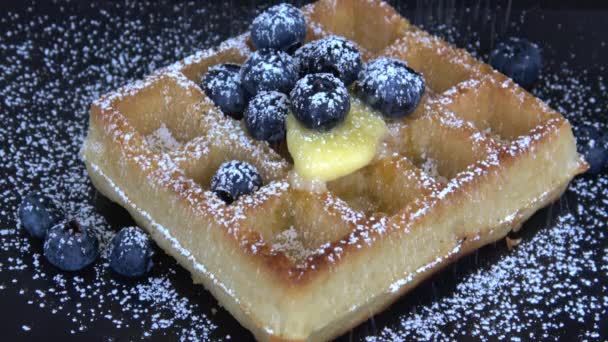 Belgian Waffles Blueberries Powdered Sugar — Stock Video