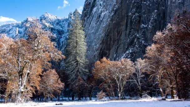 Yosemite Valley Panoramic Winter Landscape Frost Covered Trees Vertical Granite — Stock Video