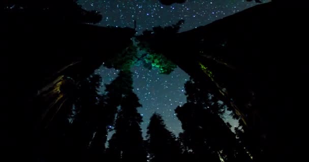 Sterrenhemel Boven Mammoetbomen Californië — Stockvideo