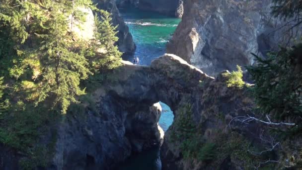 Vista Aérea Del Paisaje Escénico Puentes Naturales Costa Oregon — Vídeos de Stock