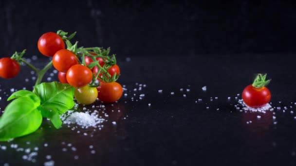 Cherry Tomate Stop Motion Animação Fundo Preto — Vídeo de Stock