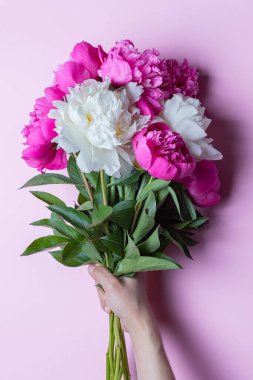 Pembe arka planda izole edilmiş kadın eliyle şakayık buketini karıştır. Düz konum, kopyalama alanı, kapat