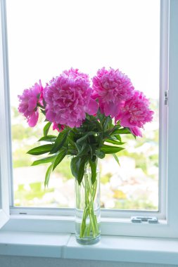 Beyaz pencere pervazındaki vazoda Fuchsia şakayıkları var. Backlit, kapat.