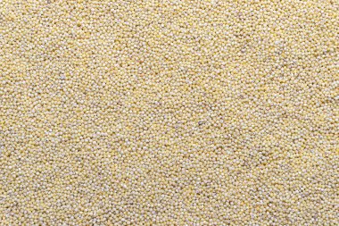 Dağılmış ve cilalanmış darı dokusu. Tahıl deseni, gıda arka planı, doku fikri