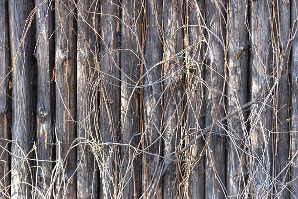 乾燥した茂みの後ろに樹皮を持つ丸太で作られた木製の柵 木の幹フェンスのテクスチャ — ストック写真