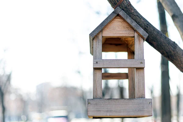 Pequeña Pajarera Madera Vacía Colgando Rama Del Árbol Soleado Día — Foto de Stock