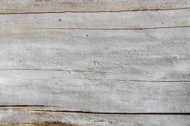 Gri ahşap doku. Yaklaş, makro. Ağaç dokusu, arkaplan