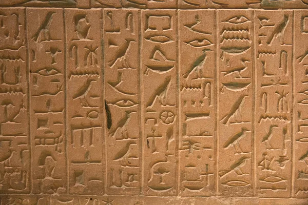 Leiden Nederländerna Jan 2019 Äkta Antika Hieroglyfer Sten Utställning Egyptens — Stockfoto