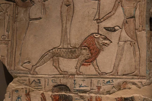 Leiden Nederländerna Jan 2019 Hieroglyfer Närbild Stela Med Ett Lejon — Stockfoto