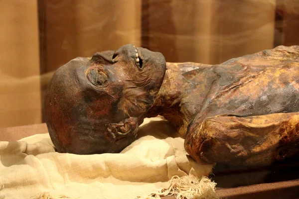 Petersburg Russia Sep 2016 Head Mummy Priest Iset Ancient Egypt — Stock Photo, Image