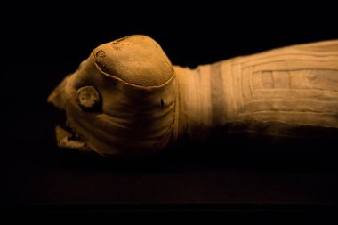 Leiden, Hollanda - Ocak 04, 2020: Rijksmuseum van Oudheden Müzesi 'nde bir Mısırlı kedi mumyasına yakın çekim.