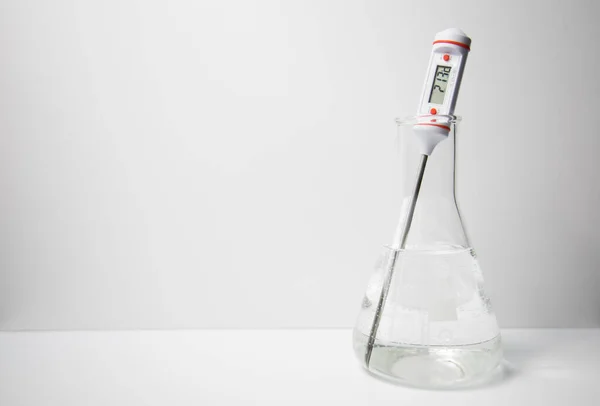 A digital thermometer measuring the temperature of a liquid in a glass erlenmeyer flask on a white background. Science experiment.