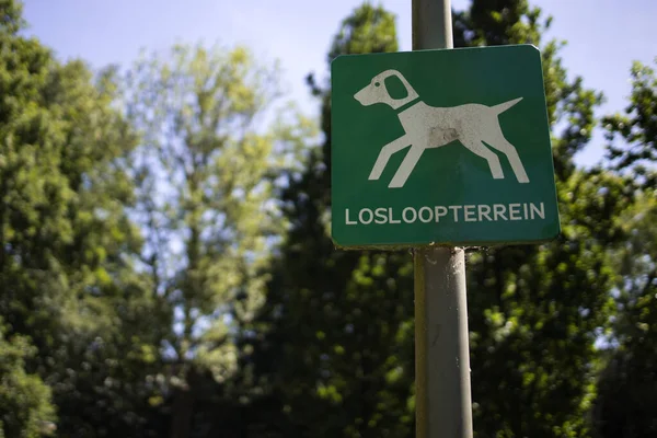 Sign Stating Dogs Allowed Walk Free Zone Losloopterrein Schiedam Netherlands — Stock Photo, Image