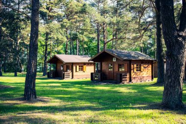 Ormandaki kamp parkında ahşap bungalov sırası. Kamp parkındaki tatil evleri. Macera, seyahat, yaz tatili konsepti.