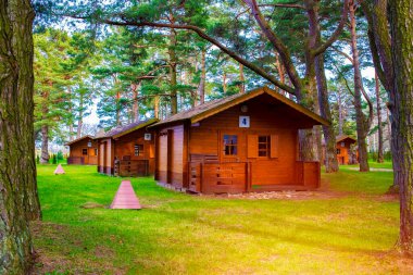 Ormandaki kamp parkında ahşap bungalov sırası. Kamp parkındaki tatil evleri. Ahşap evler..