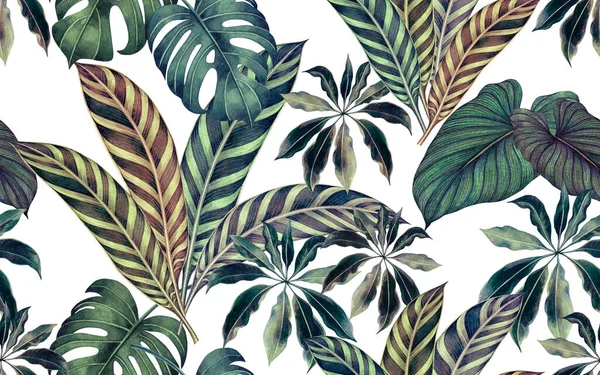 Watercolor Painting Colerful Tropical Leaf Green Leave Seamless Pattern Background — стокове фото