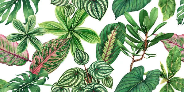 Aquarel Schilderen Kleurrijke Tropische Palmblad Groene Bladeren Naadloos Patroon Achtergrond — Stockfoto