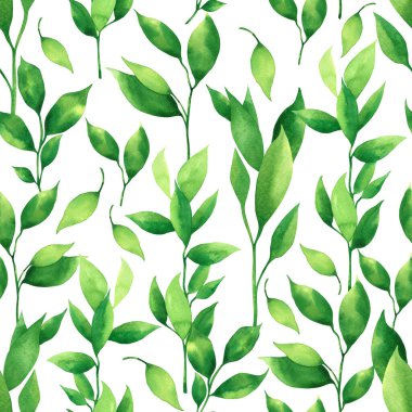 Hindistan cevizi boyası, palmiye yaprağı, dikişsiz yeşil izin arkaplanı. Duvarkağıdı için suluboya el çizimi tropikal egzotik yaprak baskıları, tekstil Hawaii aloha orman modeli..