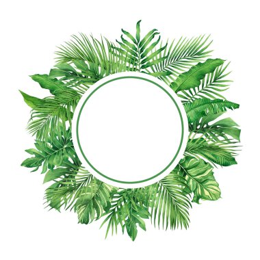 suluboya çerçeve çerçeveli tropikal yapraklar, hindistan cevizi, palmiye, beyaz arka planda yeşil yaprak. Suluboya el, duvar kağıdı, arka plan, düğün kartı, klasik Hawaii tarzı tropikal yaprak çizimi.