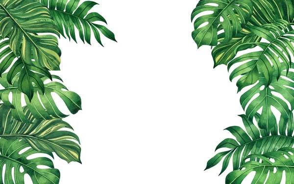 Pittura Acquerello Cornice Foglie Tropicali Monstera Palma Foglia Verde Sfondo — Foto Stock