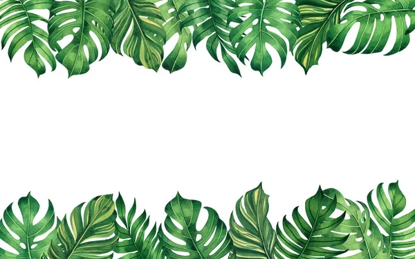 Pittura Acquerello Cornice Foglie Tropicali Monstera Palma Foglia Verde Sfondo — Foto Stock