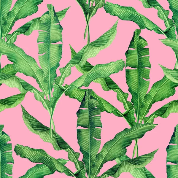 Watercolor Painting Green Banana Leaves Seamless Pattern Pink Background Watercolor — Stock Photo, Image