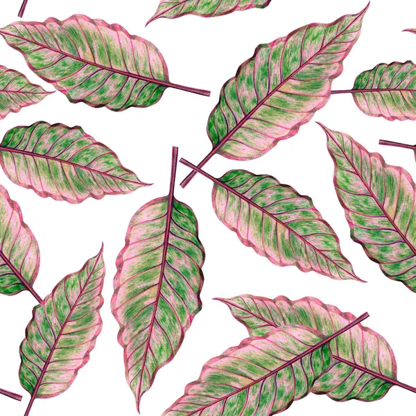 수채화의 야자수 녹색은 바다없는 패턴을 배경으로 손으로 이국적 나뭇잎 프린트 — 스톡 사진