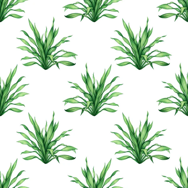 水彩画カラフルな熱帯緑の葉 ヤシの葉シームレスなパターンの背景を残します 水彩手描きイラスト壁紙のための熱帯エキゾチックな葉のプリント 織物ハワイアロハジャングルスタイル — ストック写真