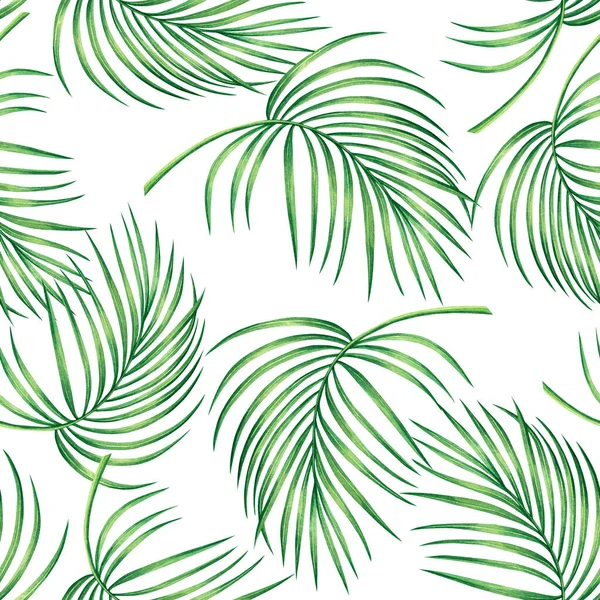 水彩画椰子 棕榈叶 绿叶无缝图案背景 水彩画手绘热带奇异叶印墙纸 夏威夷芦荟类纺织品丛林风格 — 图库照片