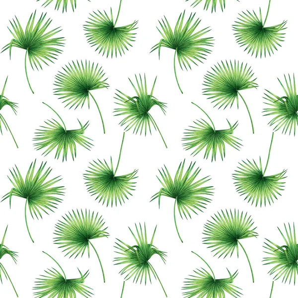 Watercolor painting coconut,palm leaf,green leave seamless pattern background.Watercolor hand drawn illustration tropical exotic leaf prints for wallpaper,textile Hawaii aloha jungle style pattern.