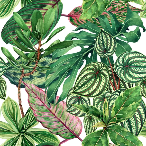 Akvarel Malba Barevné Tropické Palmové Listy Zelené Opustit Bezešvé Vzor — Stock fotografie