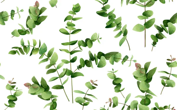 水彩画ユーカリの枝は白に残します 緑の葉のシームレスなパターンの背景 水彩イラスト壁紙のための熱帯エキゾチックな香りの葉のプリント 織物Aloha春の夏 — ストック写真