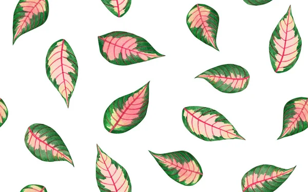 Акварельная Живопись Красочные Тропические Пальмовые Листья Зеленый Оставить Бесшовный Узор — стоковое фото