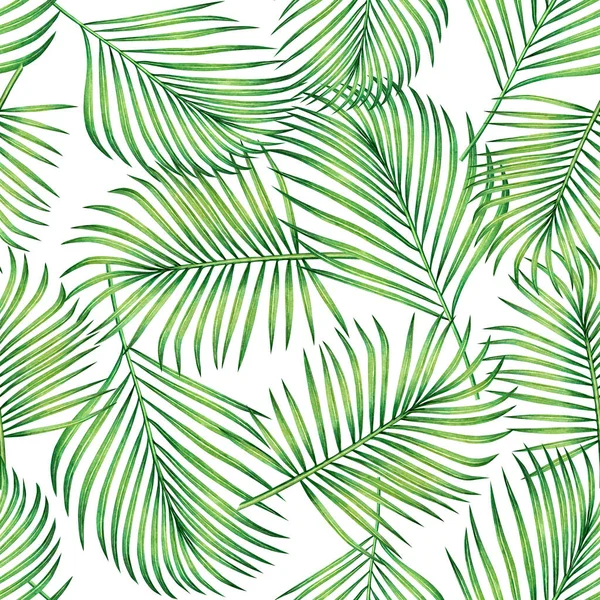 Aquarela Pintura Coco Banana Folha Palma Folhas Verdes Sem Costura — Fotografia de Stock
